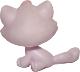 #0606/720 Sitting Bonbon Cat